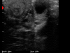 iscan-mini-cow-uterus-and-ovaries