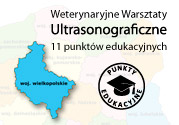 Weterynaryjne Warsztaty Ultrasonograficzne w Wielkopolsce