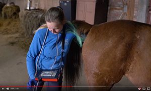 iScan 2 – wygodne i precyzyjne USG do diagnostyki koni