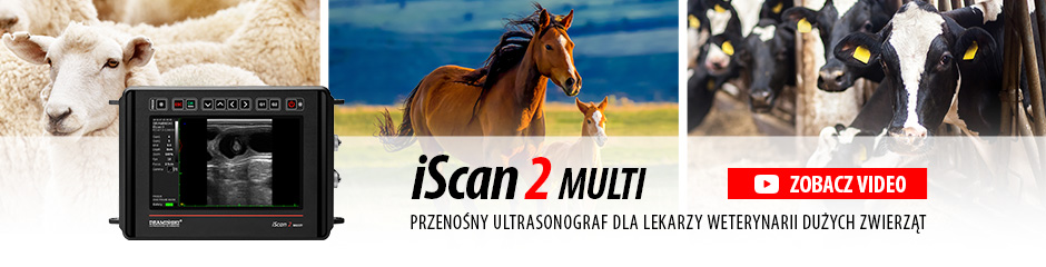 Dramiński iScan 2 Multi przenośny ultrasonograf weterynaryjny z wymiennymi sondami dla lekarzy weterynarii dużych zwierząt