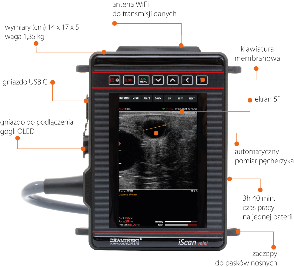 przenosny ultrasonograf weterynaryjny