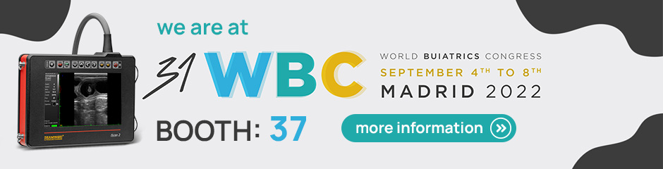 światowy kongres bujatryczny WBC Madryt 2022